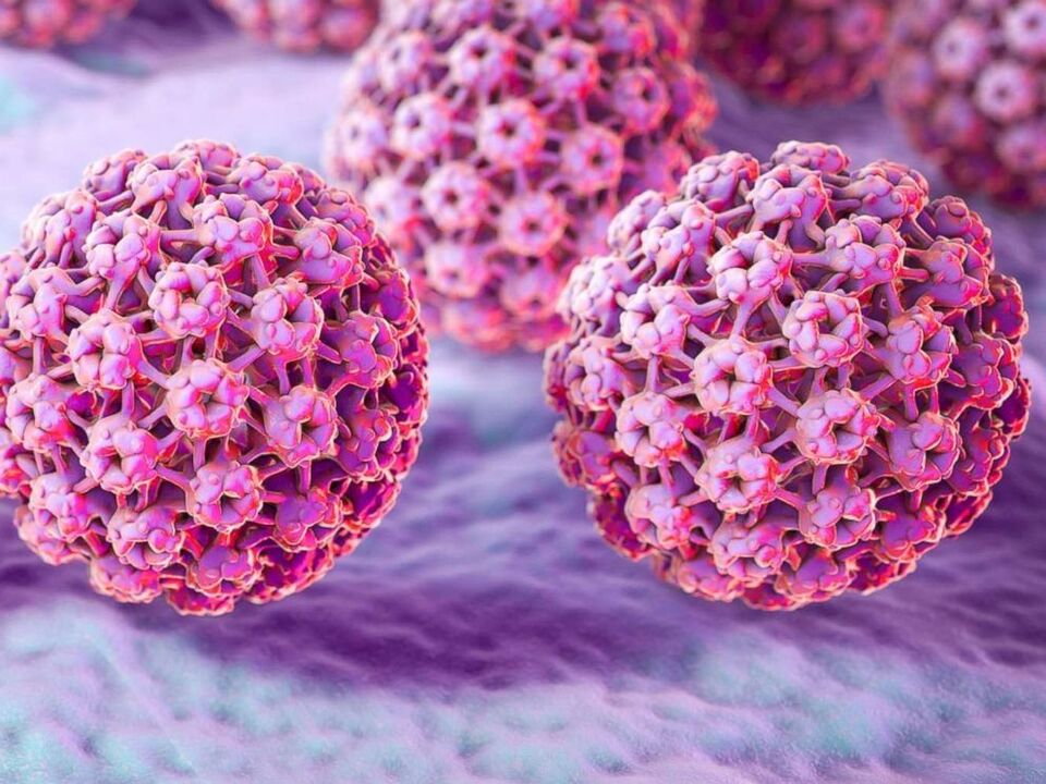 Clasificación do virus do papiloma